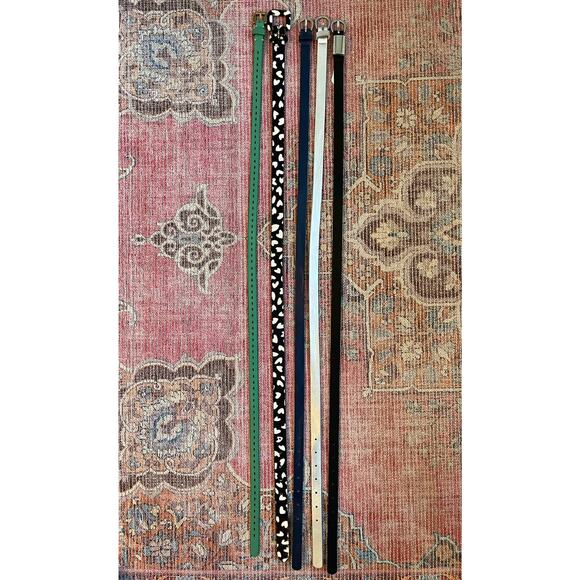 Unbranded Women\'s 5 Piece Metal Buckle Skinny Belt Multicolor Size M
